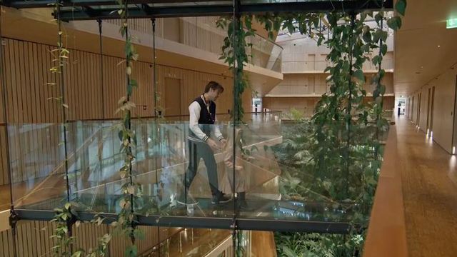 screen image green office