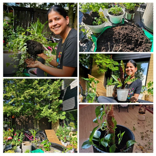 Collection of images with woman gardening plants