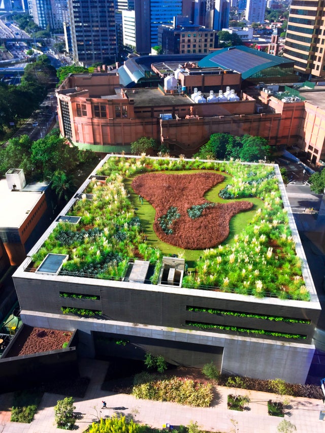 A green roof in Sao Paolo
