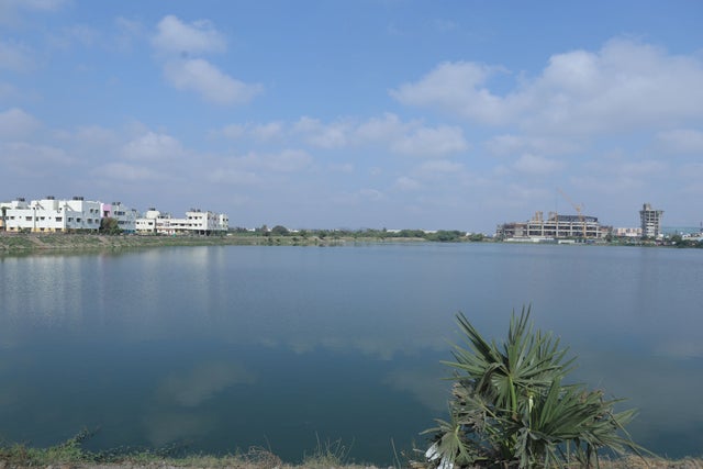 Water landscape