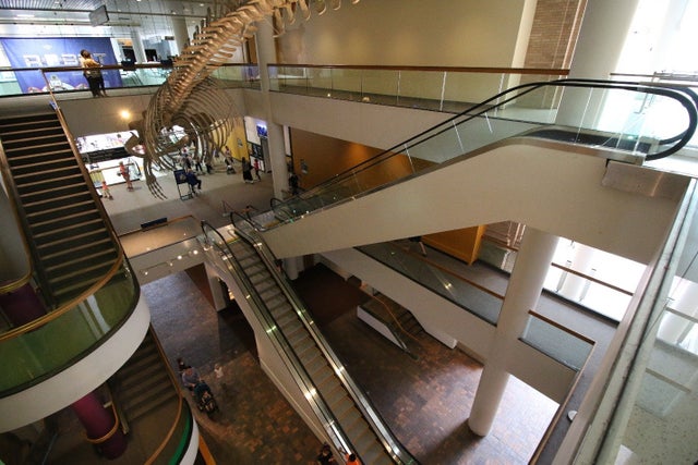 Escalators inside Denver Museum of Nature and Science