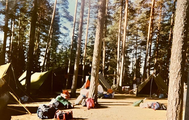 Tents and camping equipment in a forest.