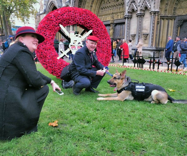 A woman, man and a German shepherd on the grass