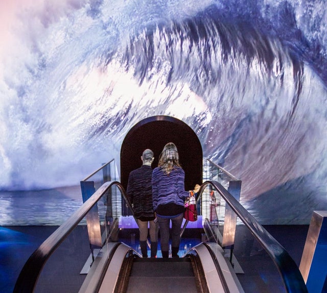 Nausicaá escalator