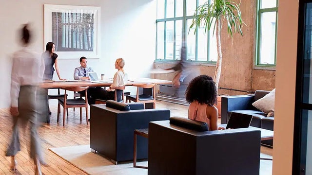 Office sofas 
