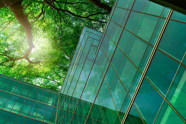 Eco-friendly building in the modern city. Green tree branches with leaves and sustainable glass building for reducing heat and carbon dioxide. 