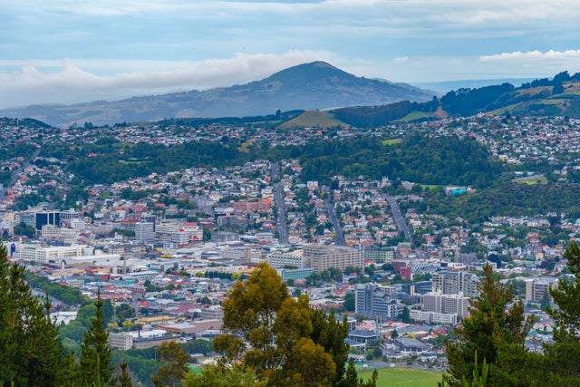 New Zealand city view