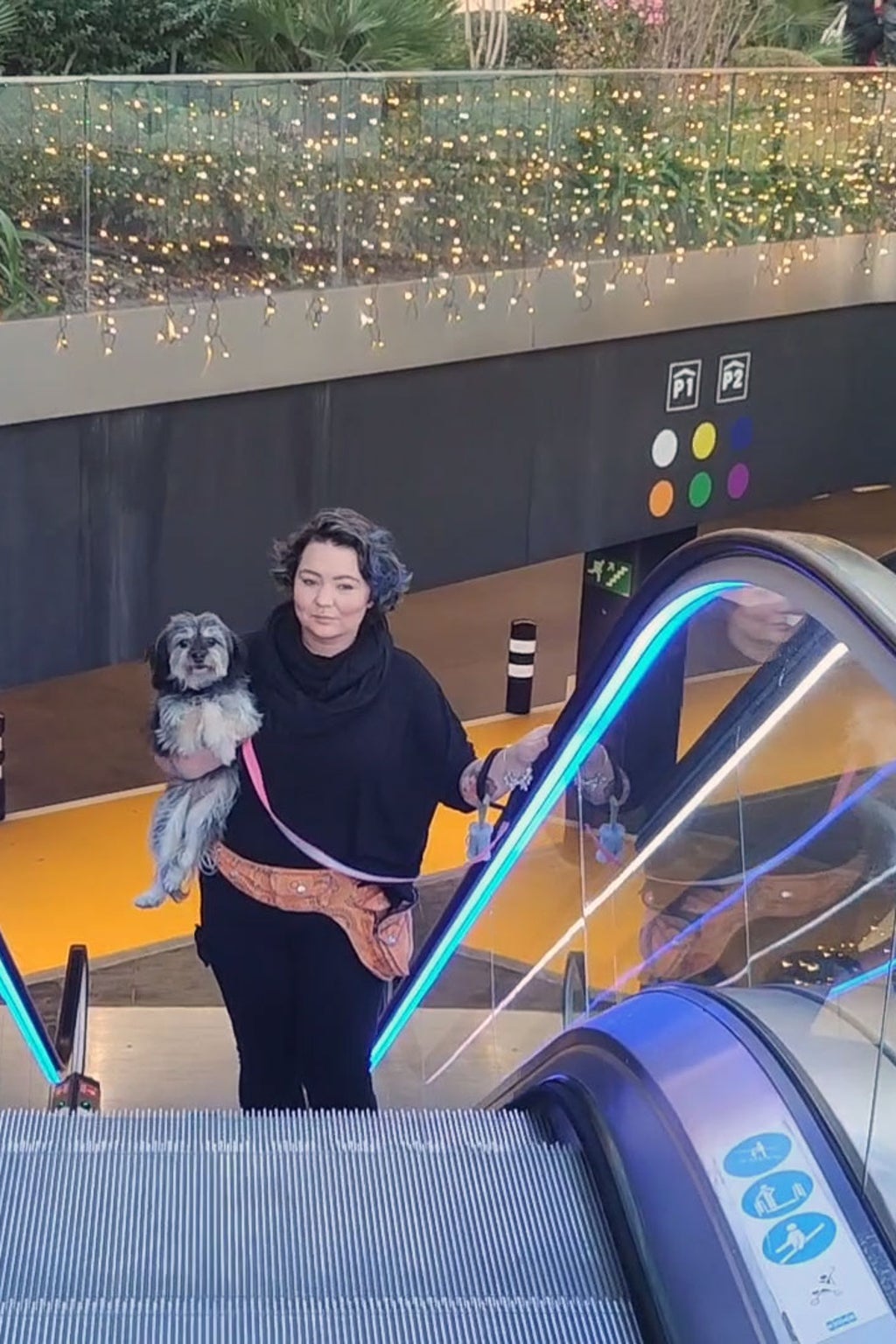 KONE-Dogs-in-the-city-clean