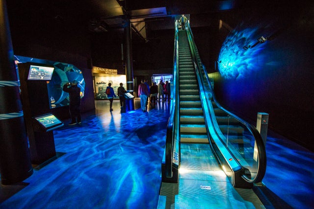 Nausicaá escalator