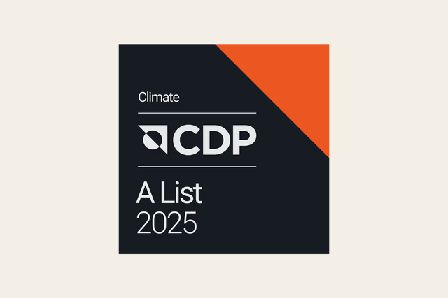 CDP 2025